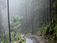 Shimla Kasauli